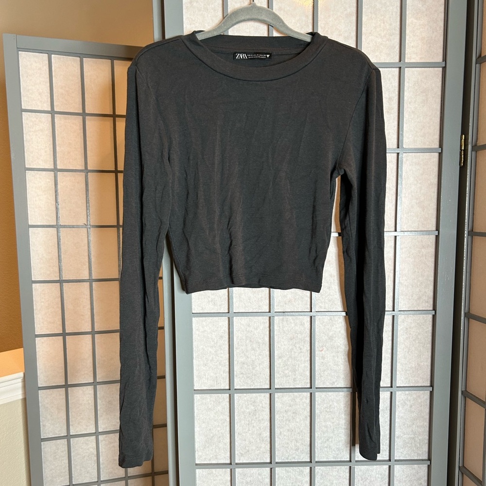 Zara Dark Gray Long Sleeve Crop Top